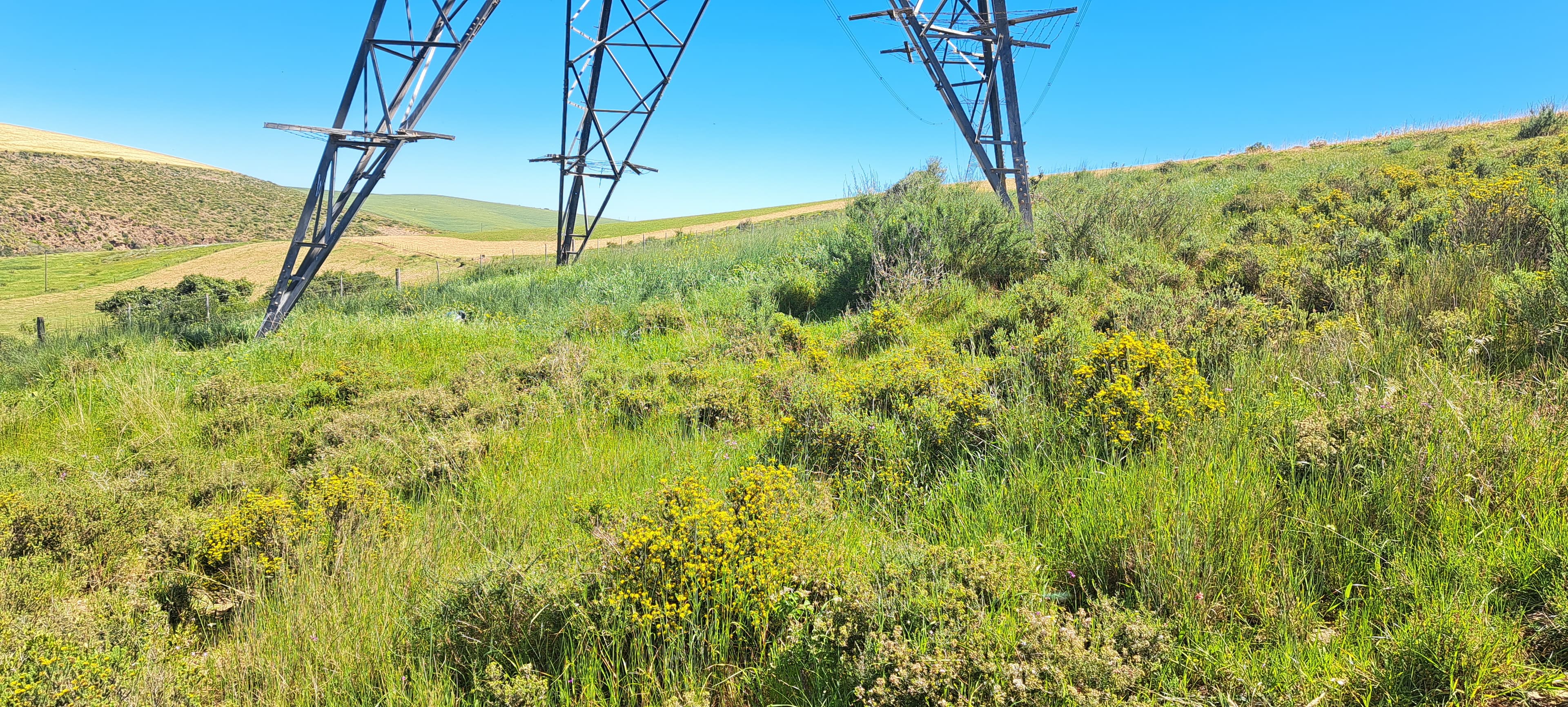 ThomaTree article on Environmental Impact Assessment Best Practices by ThomaTree Experts