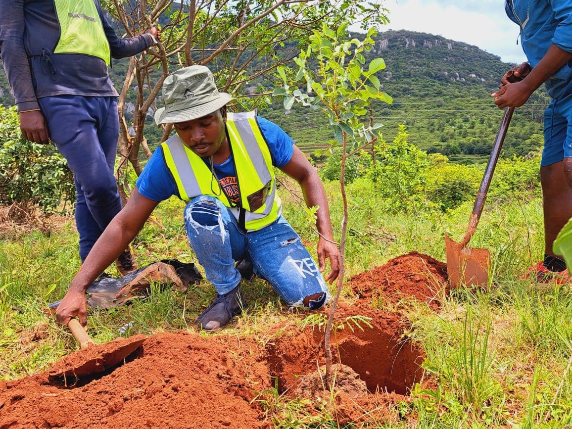 Environmental Compliance