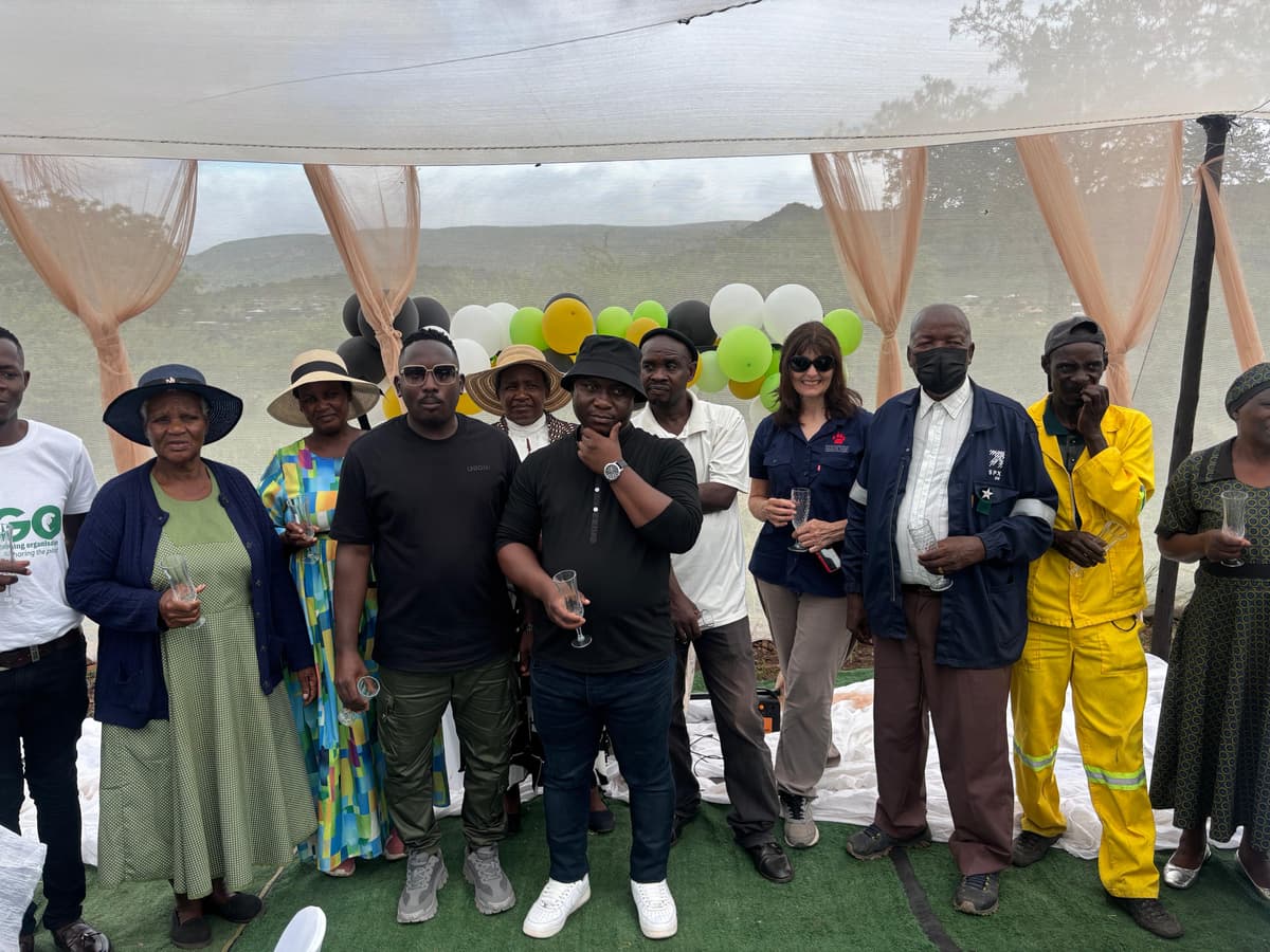 ThomaTree Environmental Consulting - Environmental Services and Field Work