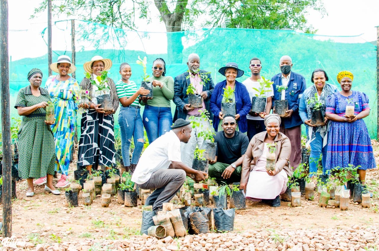 ThomaTree article on Rehabilitation Methods for Mining Sites in South Africa